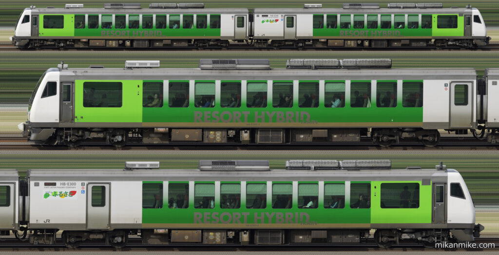 快速「リゾートビューふるさと」長編成サイドビュー