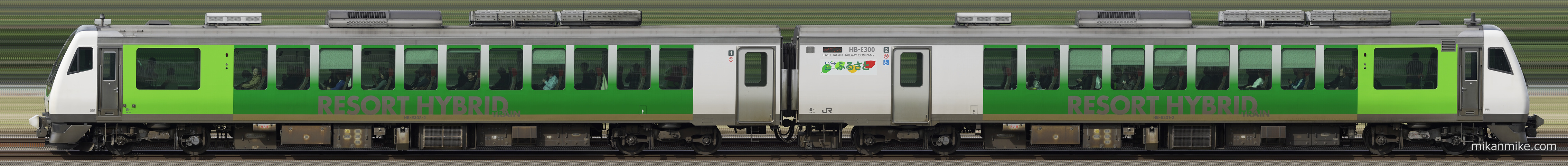 快速「リゾートビューふるさと」長編成サイドビュー