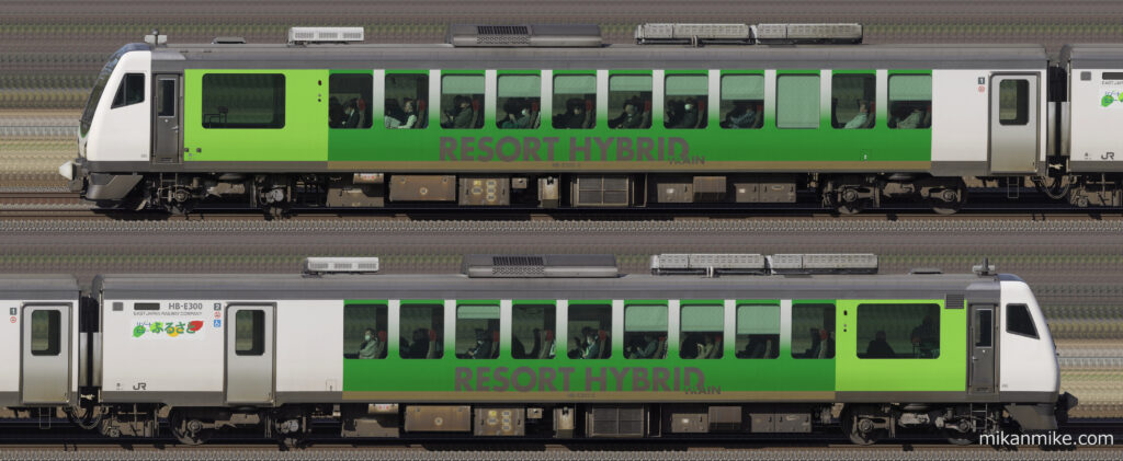 快速「南小谷駅開業90周年号」HB-E300系 長編成サイドビュー