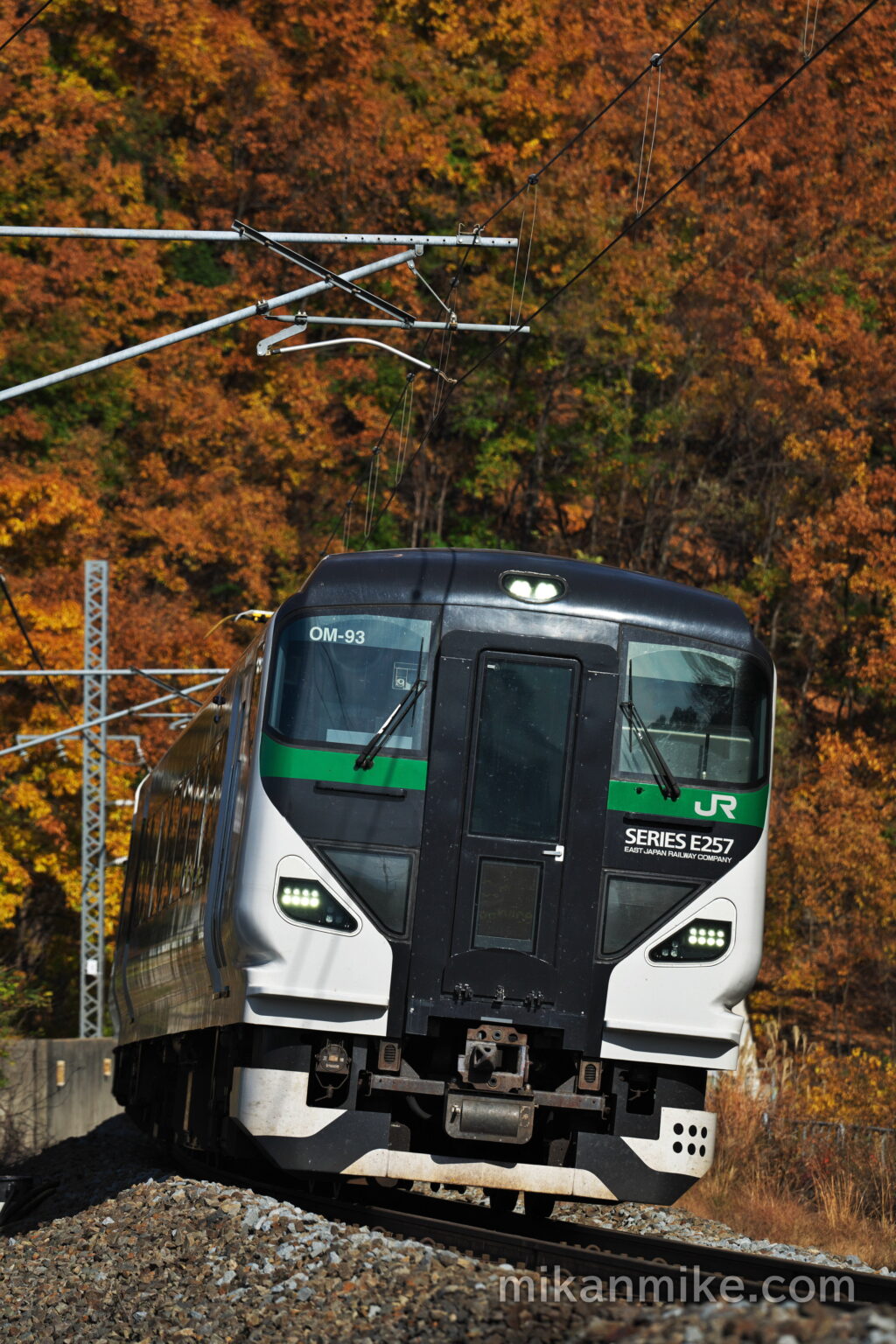 紅葉をバックに走るE257系5000番台OM-93編成
