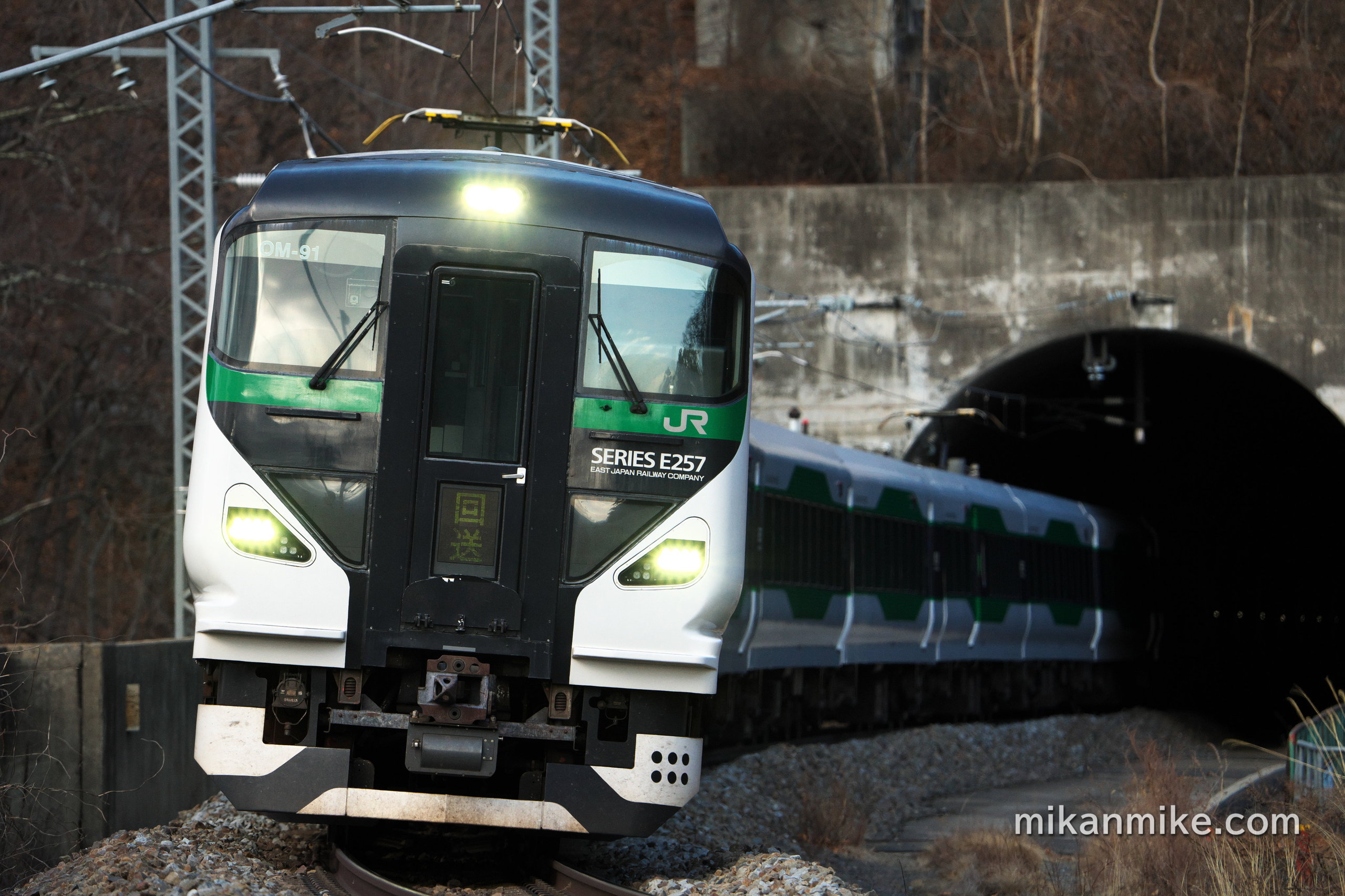 E257系5000番台OM-91編成