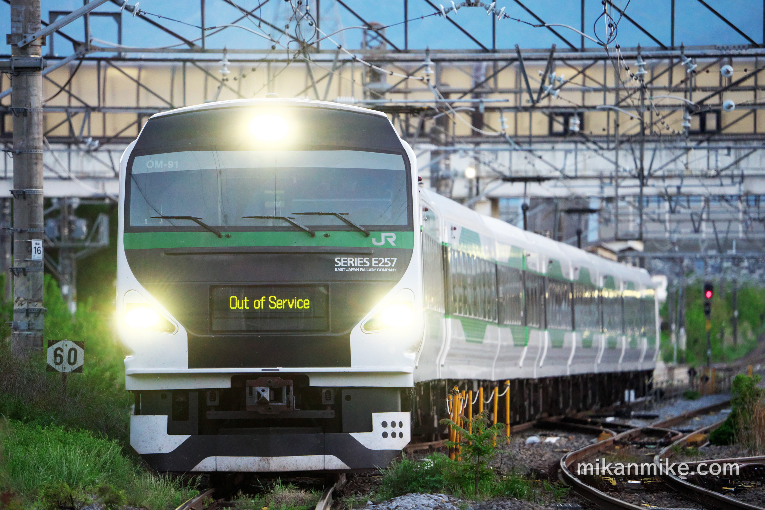 E257系5000番台 OM-91編成